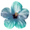 🌺 Эмодзи «summer aesthetica» для Telegram