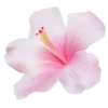 🌺 Эмодзи «summer aesthetica» для Telegram