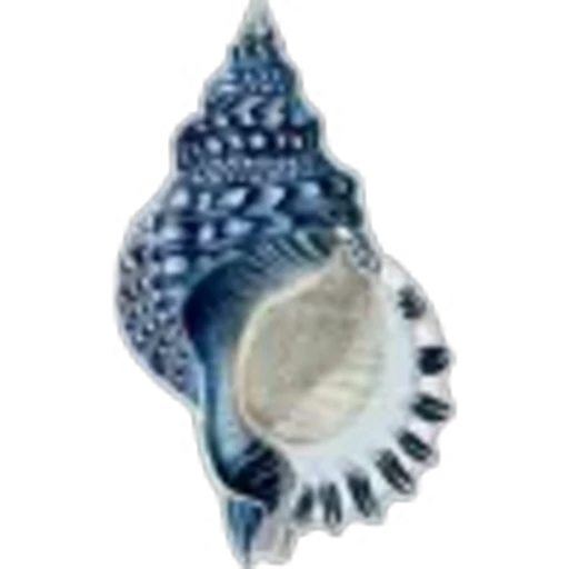 🐚 Эмодзи «summer» для Telegram