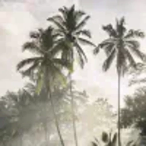 🌴 Эмодзи «summer» для Telegram