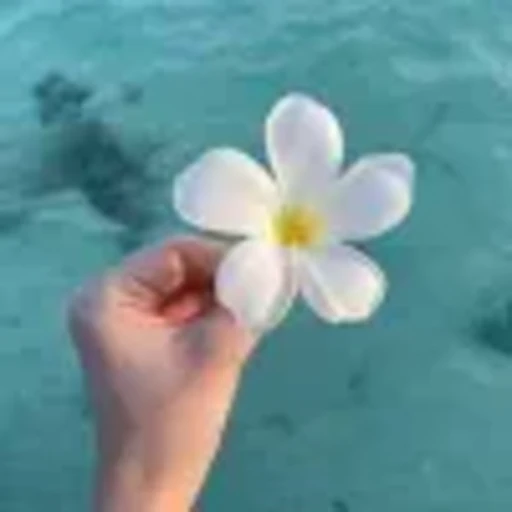 🪷 Эмодзи «summer» для Telegram