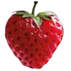🧐 Эмодзи «summer pack emoji» для Telegram