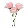 Стикер 15 💖 Набор эмоджи с летней эстетикой и вайбом
