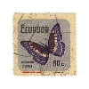 🦋 Эмодзи «. ❀» для Telegram