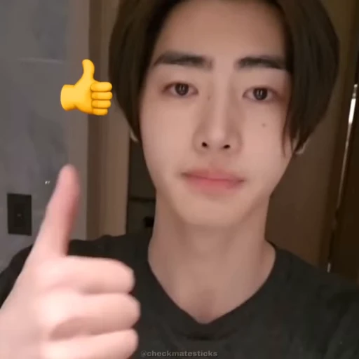 🕶 Стикер «Sunghoon» для Telegram