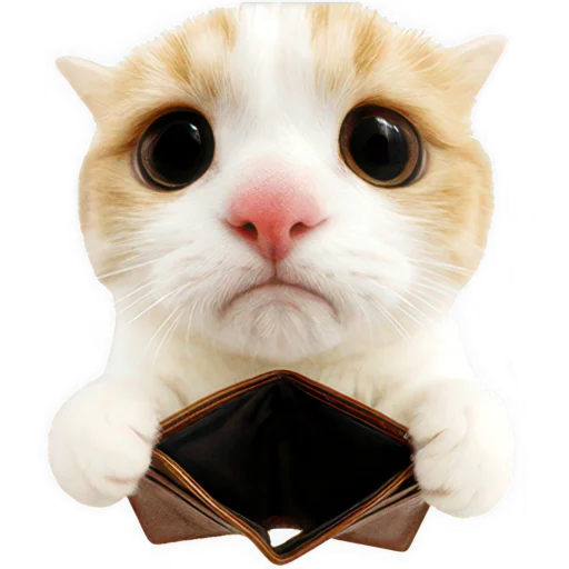 🥹 Стикер «Супер рыжик» для Telegram