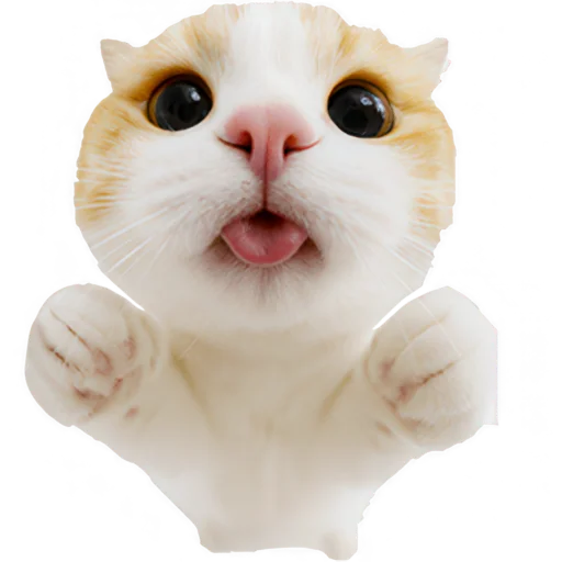 😜 Стикер «Супер рыжик» для Telegram