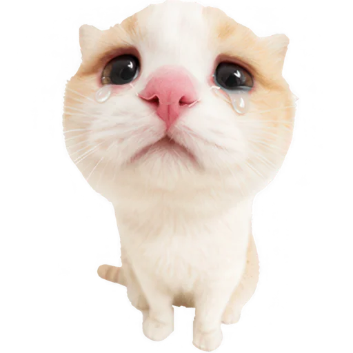 😢 Стикер «Супер рыжик» для Telegram