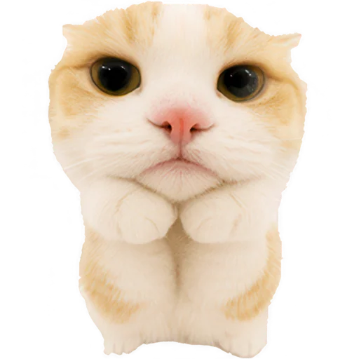 😞 Стикер «Супер рыжик» для Telegram
