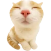😶 Эмодзи «Супер рыжик» для Telegram