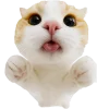 😜 Эмодзи «Супер рыжик» для Telegram