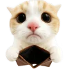 🥹 Эмодзи «Супер рыжик» для Telegram