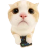 🥺 Эмодзи «Супер рыжик» для Telegram