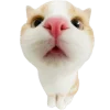 👀 Эмодзи «Супер рыжик» для Telegram
