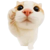 🫡 Эмодзи «Супер рыжик» для Telegram