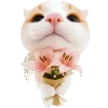 💐 Эмодзи «Супер рыжик» для Telegram