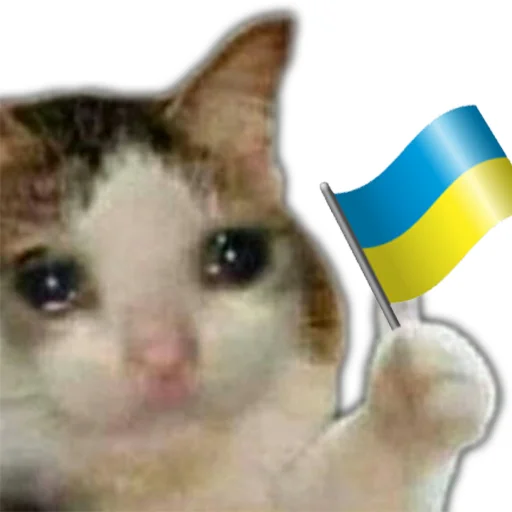 🇺🇦 Стикер «Супер котики» для Telegram