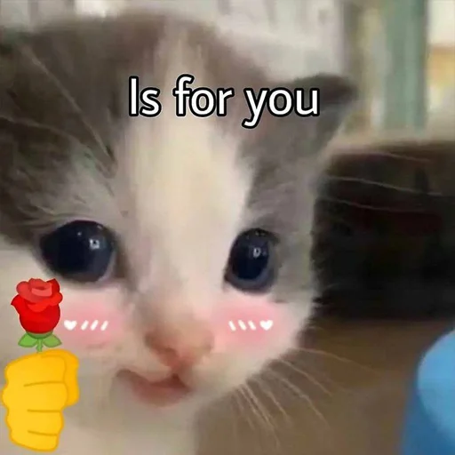 😀 Стикер «Супер котики» для Telegram