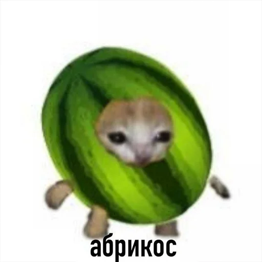 😀 Стикер «Супер котики» для Telegram