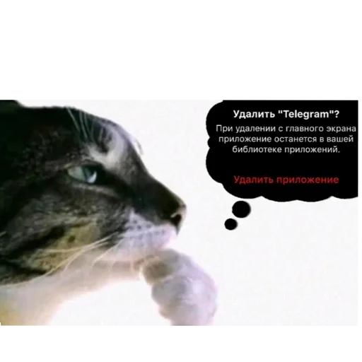 😀 Стикер «мега набор мемов» для Telegram