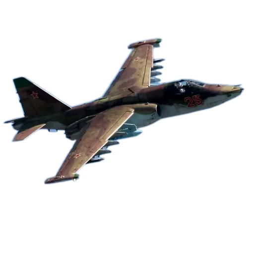 🛩 Стикер «Сушечки» для Telegram