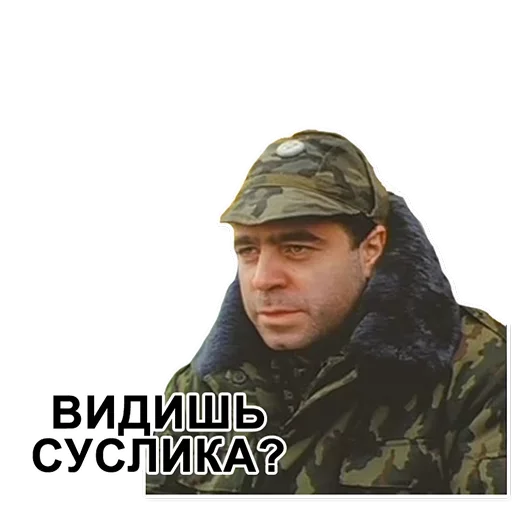 Стикерпак Cуслика видишь для Telegram