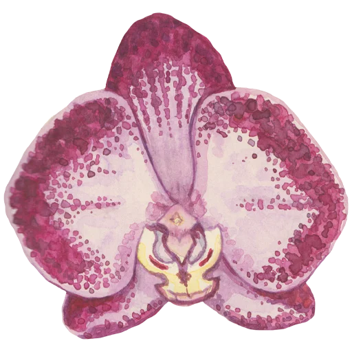 🌸 Стикер «Flowers» для Telegram