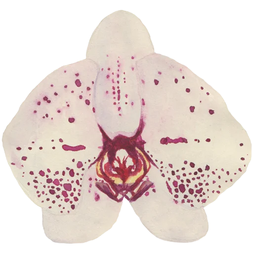🌸 Стикер «Flowers» для Telegram