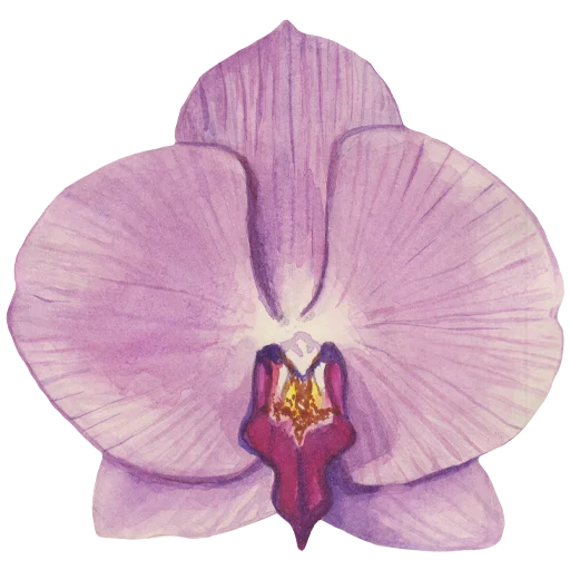 🌸 Стикер «Flowers» для Telegram