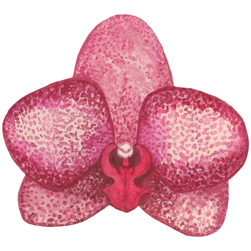 🌸 Стикер «Flowers» для Telegram