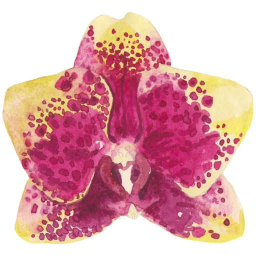 🌺 Стикер «Flowers» для Telegram