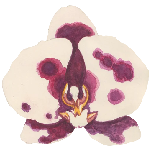 🌸 Стикер «Flowers» для Telegram