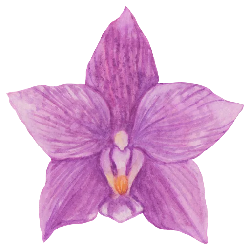 🌸 Стикер «Flowers» для Telegram