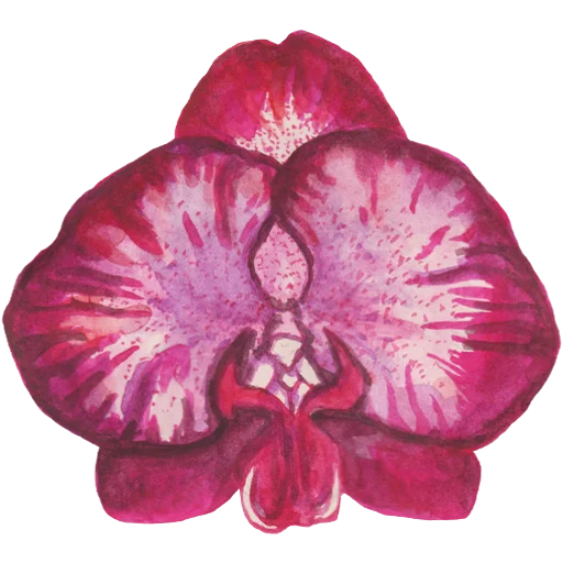 🌸 Стикер «Flowers» для Telegram