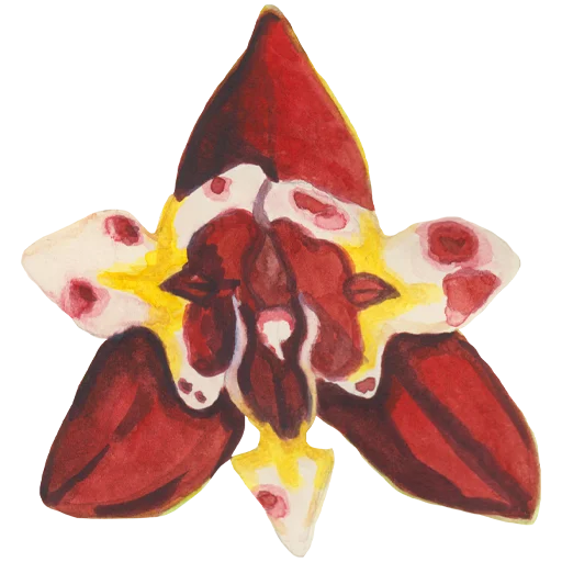 🌸 Стикер «Flowers» для Telegram