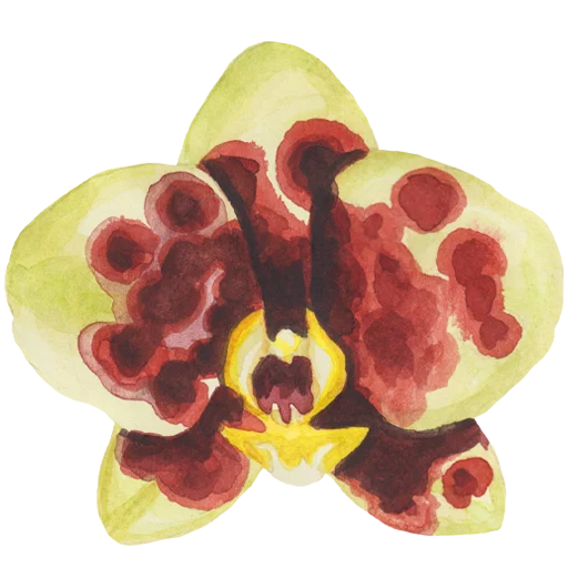 🌸 Стикер «Flowers» для Telegram