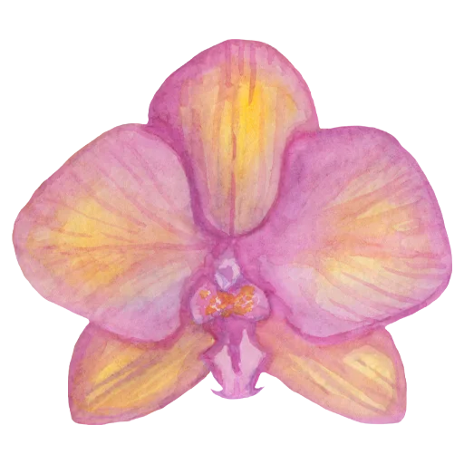 Стикерпак Flowers для Telegram
