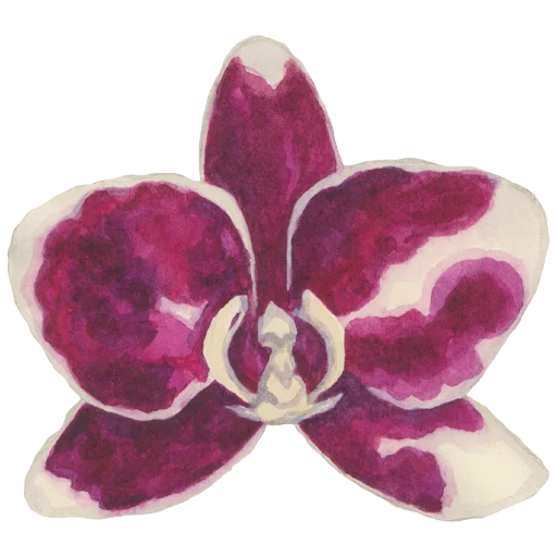 🌺 Стикер «Flowers» для Telegram