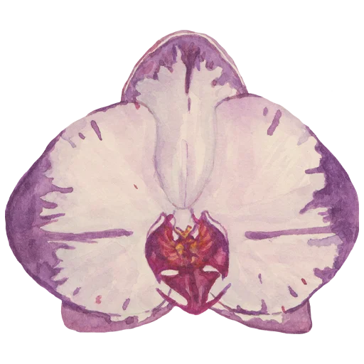 🌺 Стикер «Flowers» для Telegram