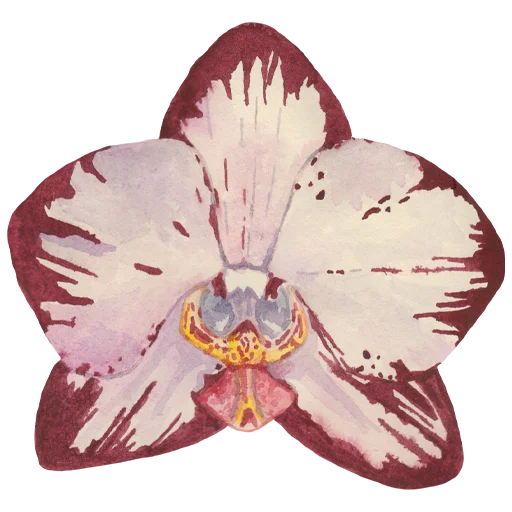 🌸 Стикер «Flowers» для Telegram