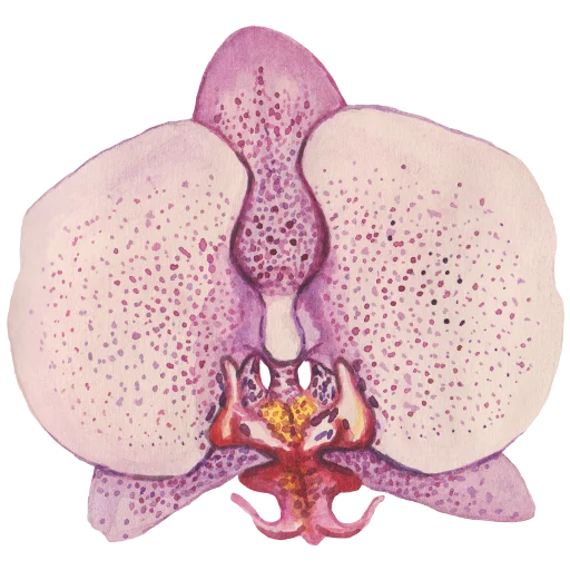 🌸 Стикер «Flowers» для Telegram