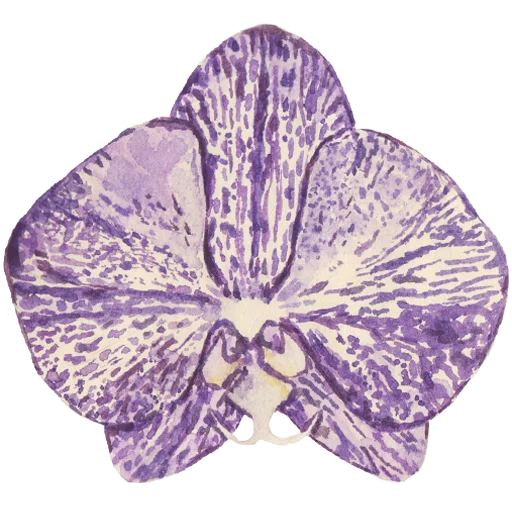 🌸 Стикер «Flowers» для Telegram