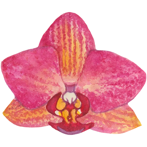 🌸 Стикер «Flowers» для Telegram
