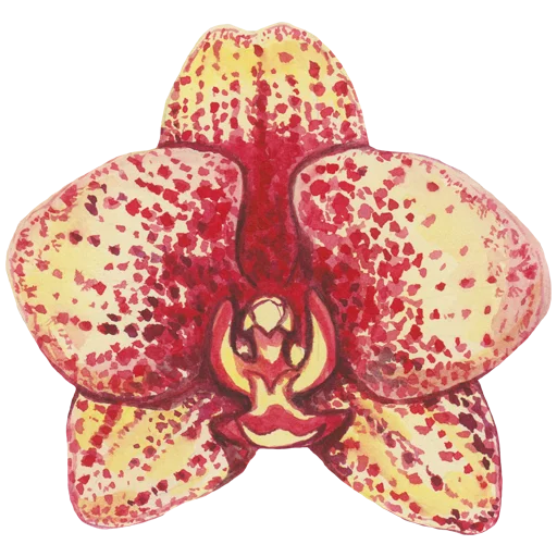 🌸 Стикер «Flowers» для Telegram