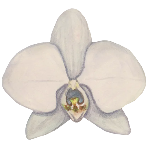 🌸 Стикер «Flowers» для Telegram