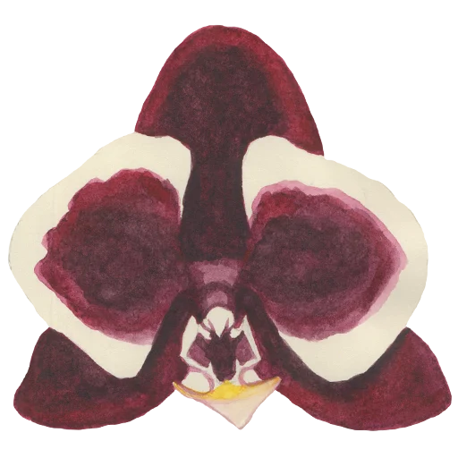 🌺 Стикер «Flowers» для Telegram