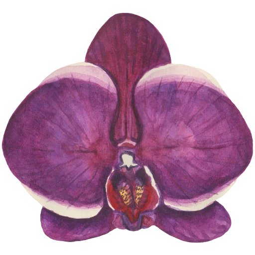 🌸 Стикер «Flowers» для Telegram