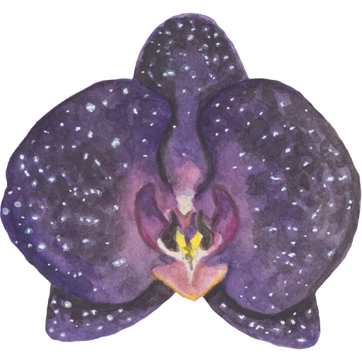 🌸 Стикер «Flowers» для Telegram
