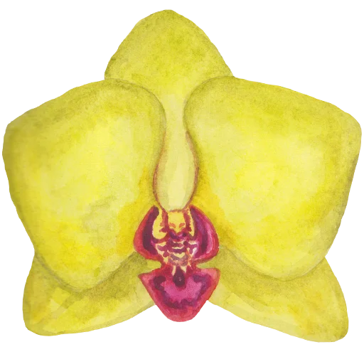 🌼 Стикер «Flowers» для Telegram