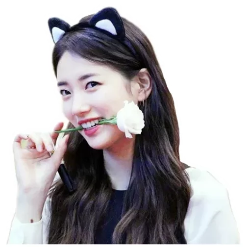 🌹 Стикер «SUZY» для Telegram